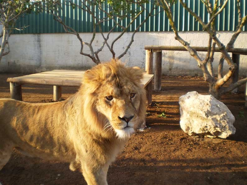 cover Court orders controversial zoo shuttered