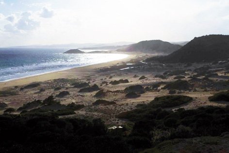 image Mild quake recorded off Rizokarpaso