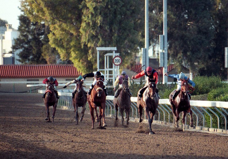 image Horse racing bigwigs resign over alleged bomb threats