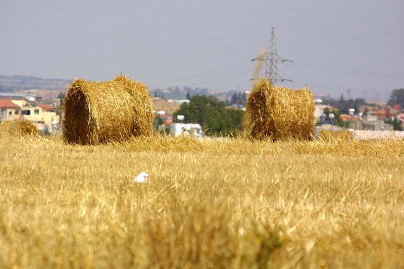 image ‘Big vision’ is for Cyprus to be self sufficient in agricultural products