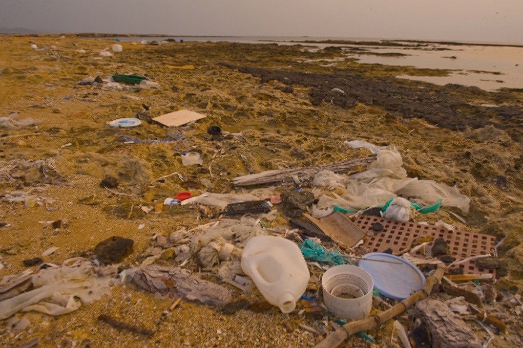 image Cyprus participates in European research to tackle marine waste