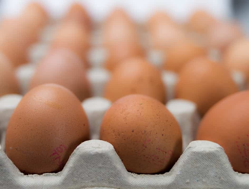 image Egg prices in Cyprus up 23% in January year-on-year
