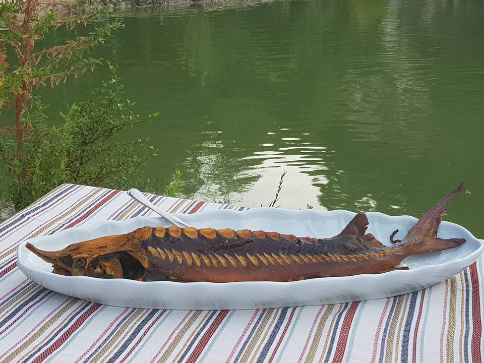 cover Our View: Land of Dreams scandal exposes state-sanctioned corruption