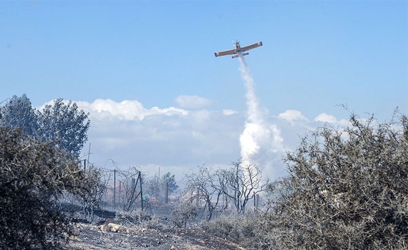 image Cyprus records 28 forest fires in 2024