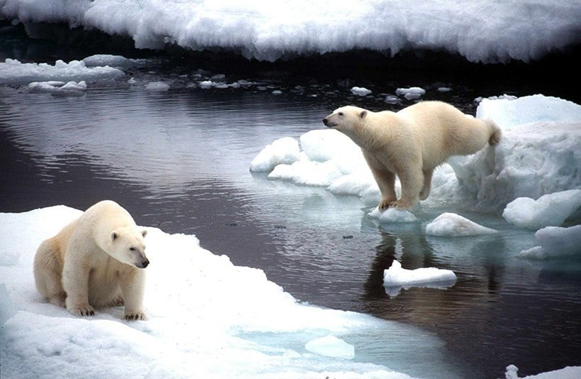 image World could see 1.5C of warming in next five years, WMO reports