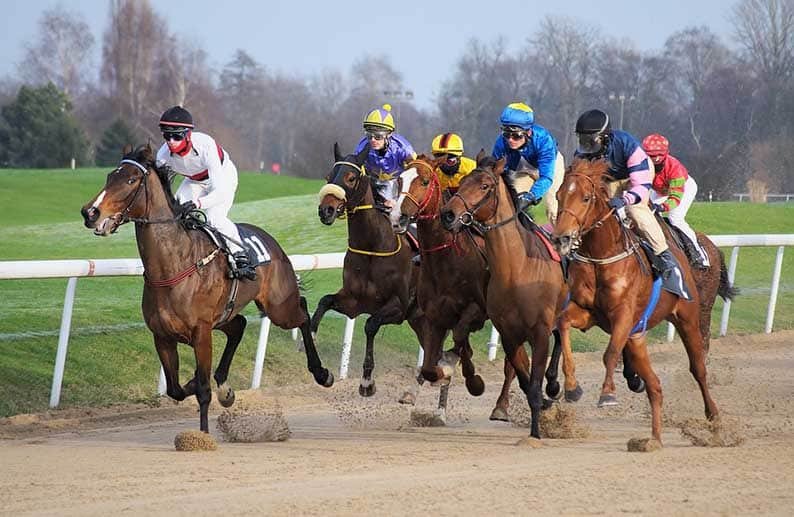 image Jockey and trainer injured at Nicosia race track