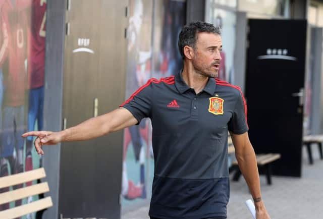 image Luis Enrique missed start of Spain game after being stuck in lift
