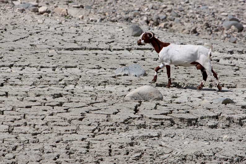 image Plans afoot to deal with potential water shortages