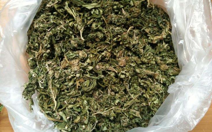image Remand after 6.5kg of cannabis found in post-office parcel (Updated)