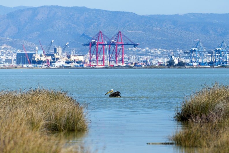 image Waste dumped at Akrotiri salt lake