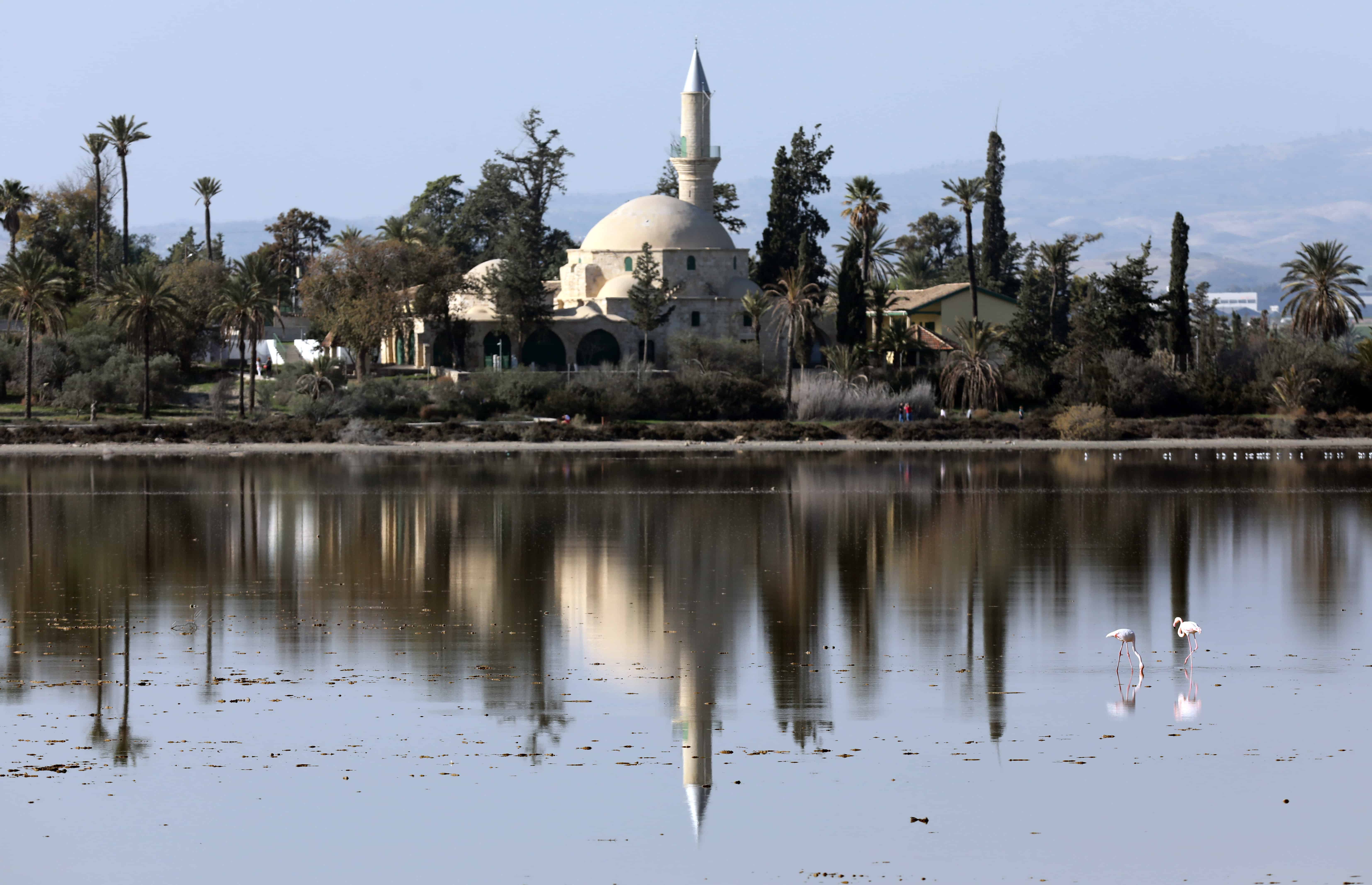 image Cat lovers and Evkaf up in arms over taverna plans near mosque