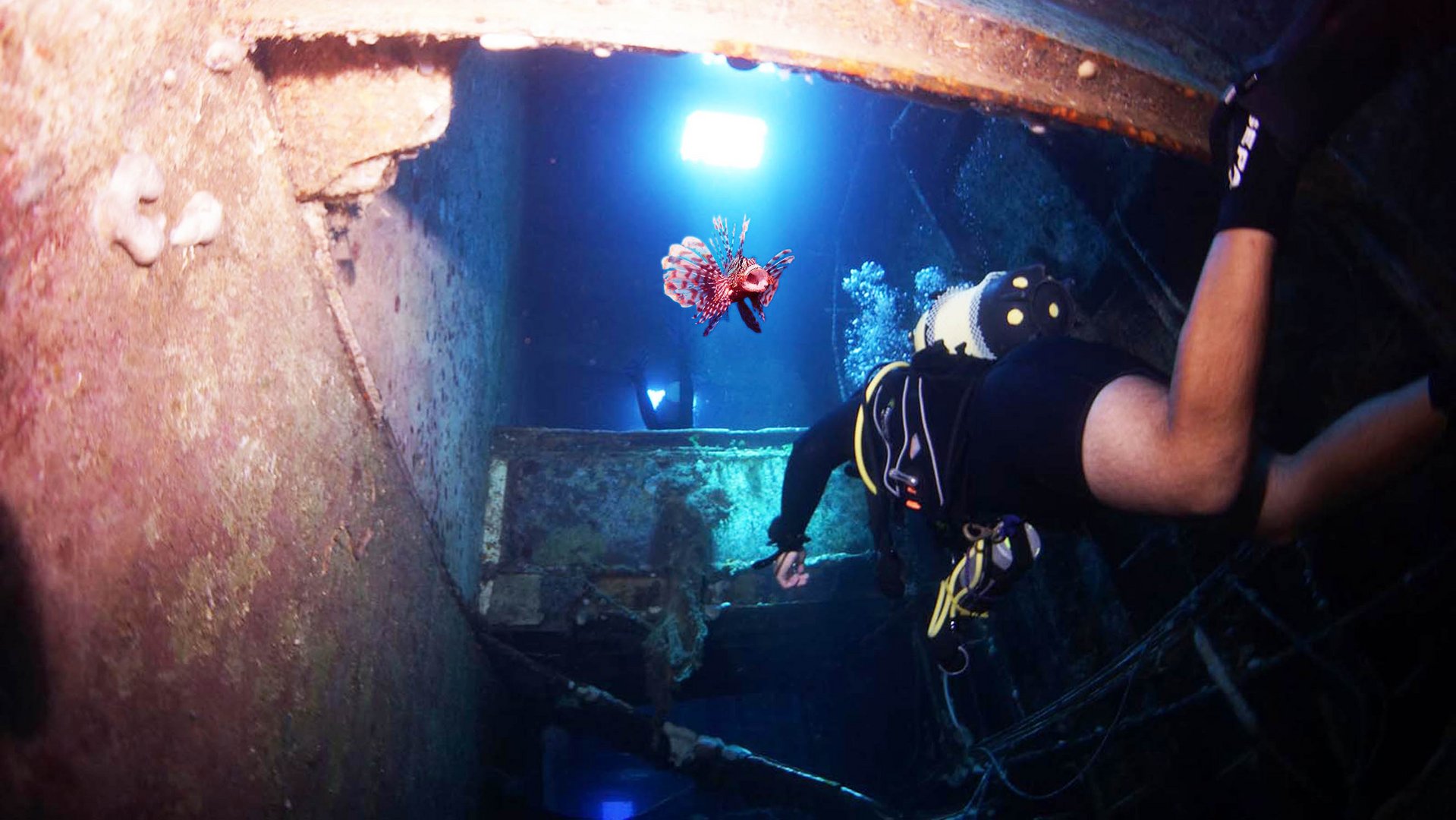 image JRCC operation rescues struggling diver