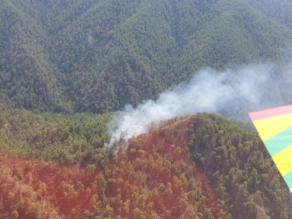 image Forestry department blames electricity authority for summer fires