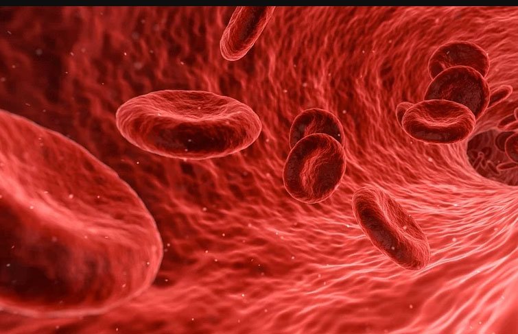 image Buildings across Cyprus to glow red for World Thalassaemia Day
