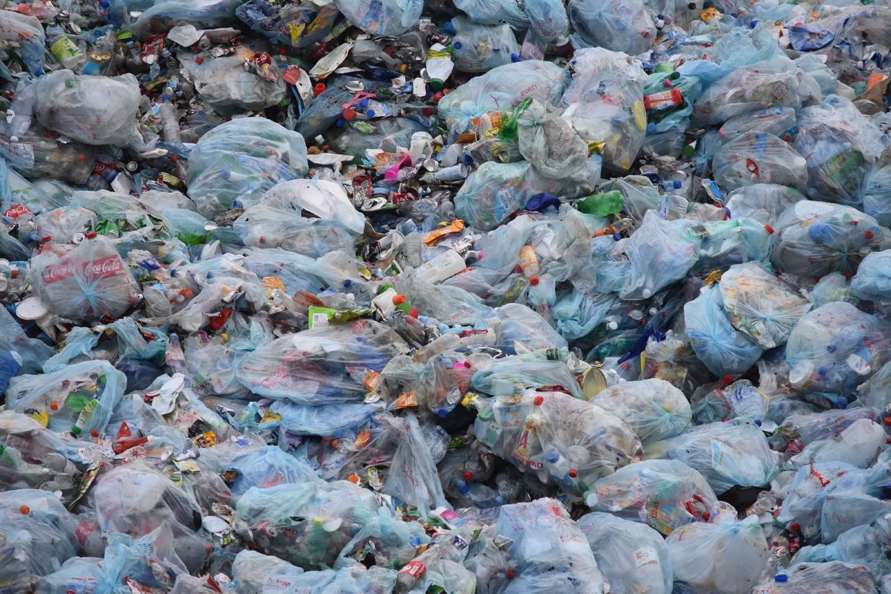 image Mukhtar wants removal of illegal dumping site