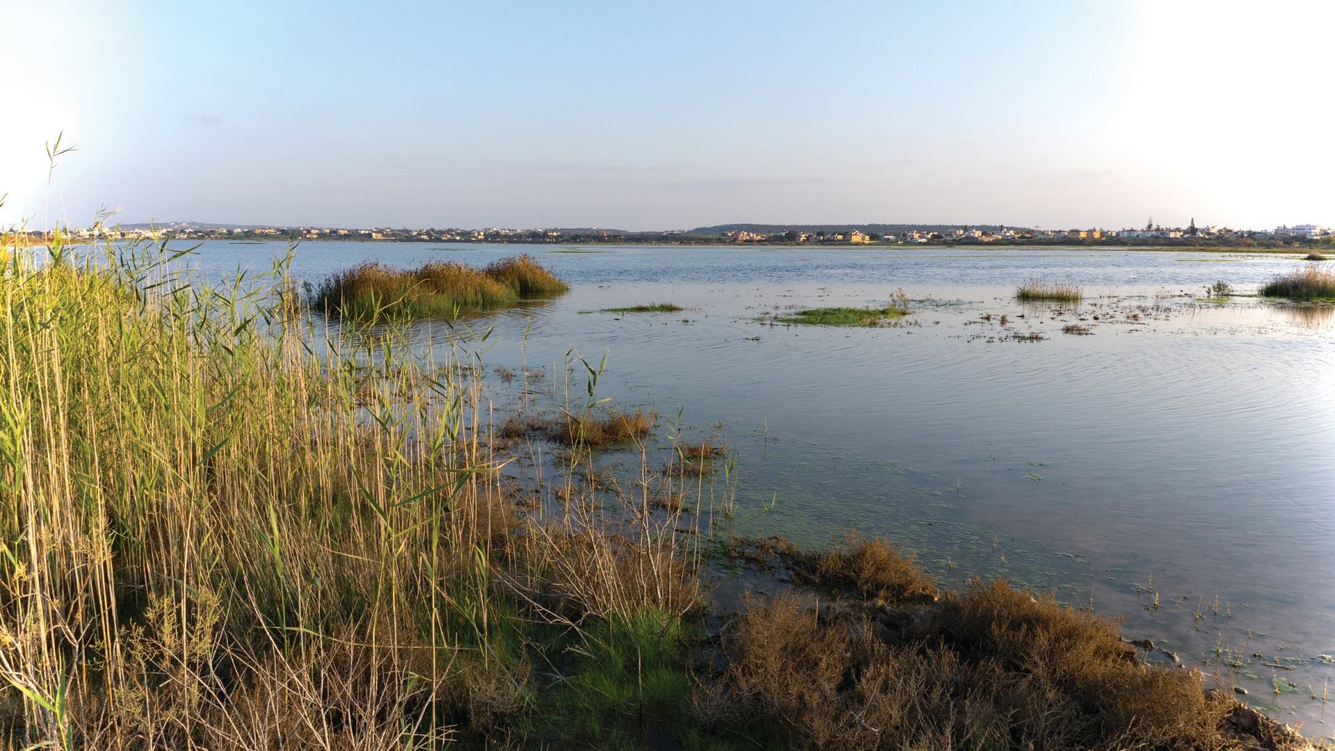 image Man, not the wetlands, boosting mosquito numbers &#8211; report