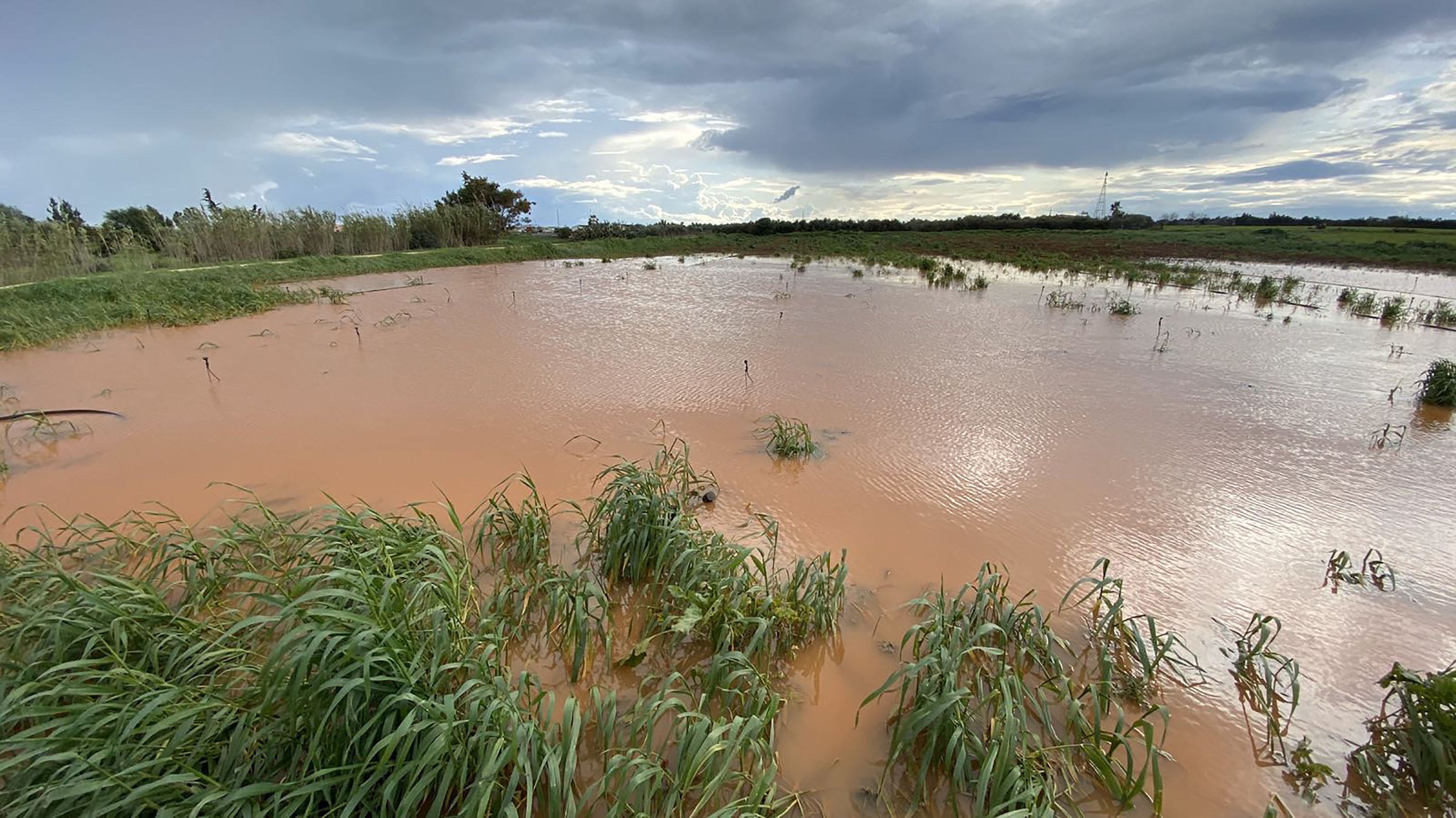 cover Cabinet approves €1.5 million in aid for farmers affected by extreme weather