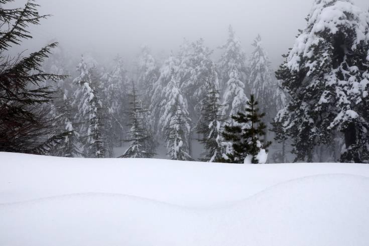 image Snow falls on Troodos and Kyrenia mountains