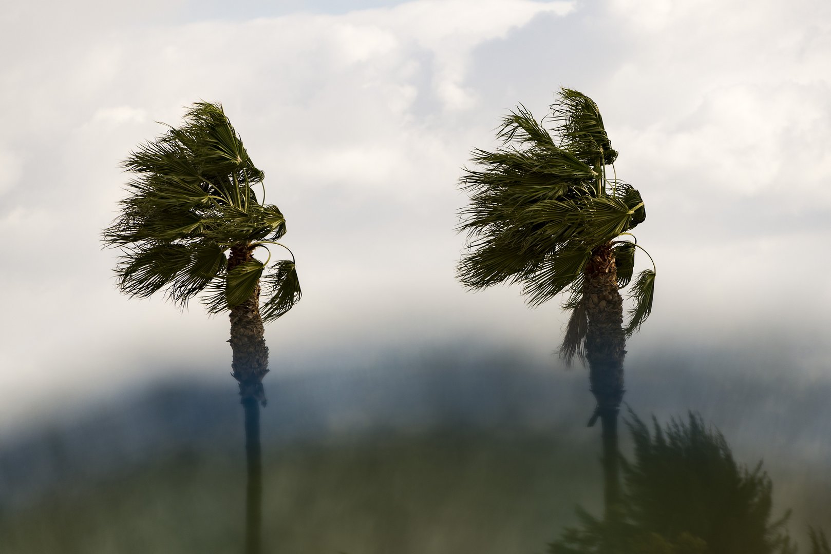 image Nicosia hit by strong winds
