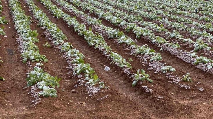 image Farmers exempted from rent payments for state land for two years
