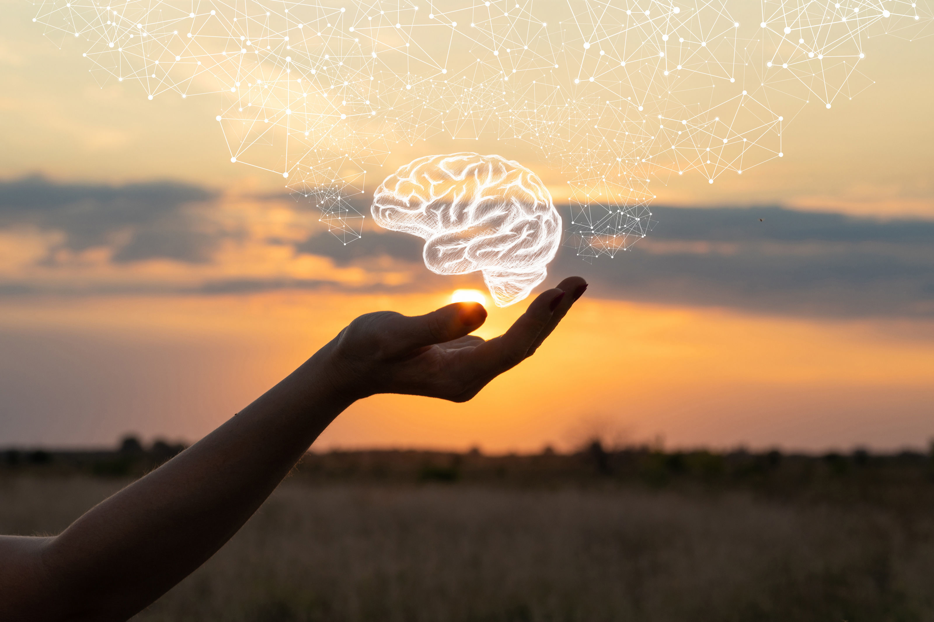 image Cyprus secures EU funding for study on dementia