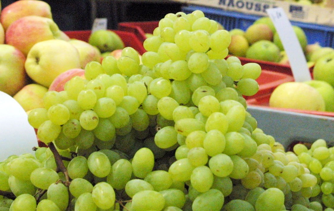 image Grape production plummets by 93 per cent