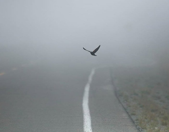 image Thick fog, slippery roads in Troodos, police warn