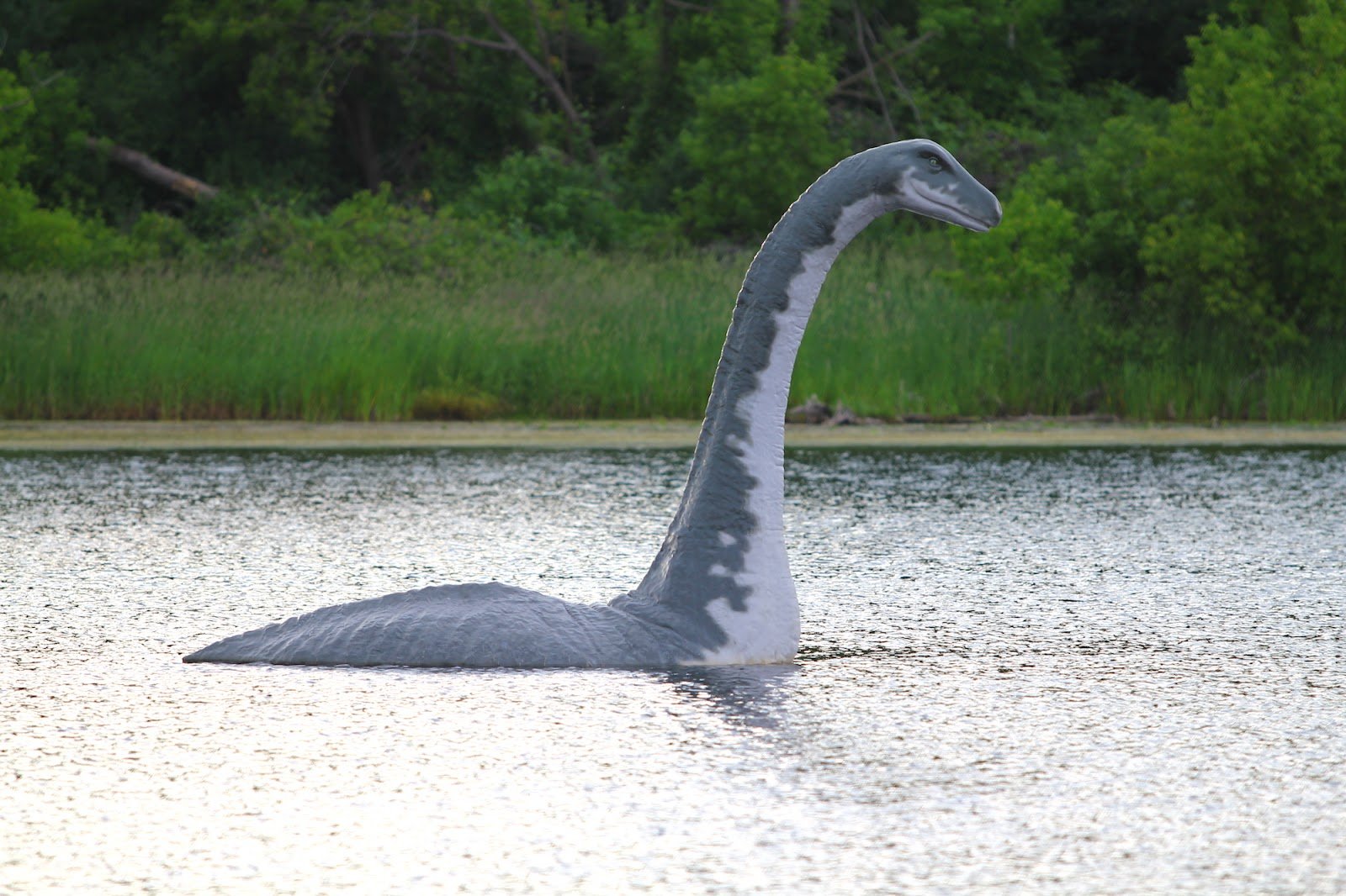 image Hundreds join largest Loch Ness monster hunt in 50 years in Scotland