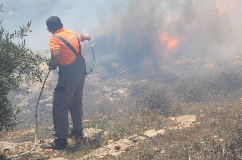 image Forestry dept thanks members of public who put fire out