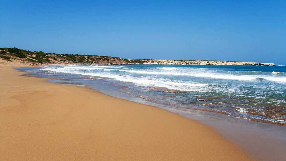 image Efforts underway to conserve important natural habitats