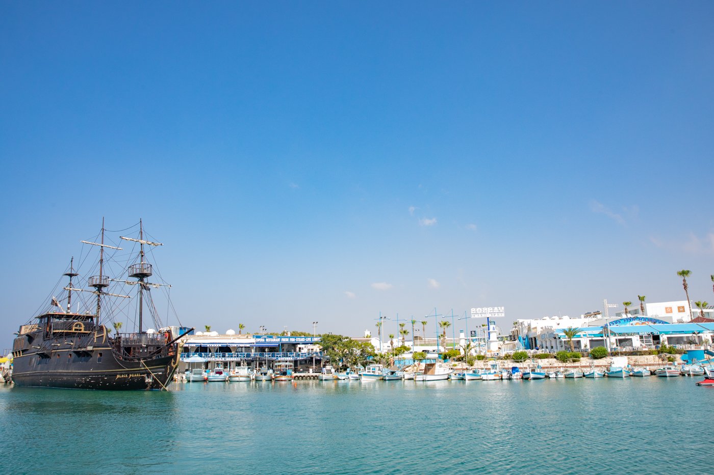 cover Forestry department to amend law on state land after audit report