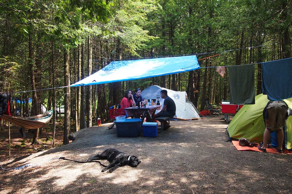 cover Authorities crack down on illegal camping