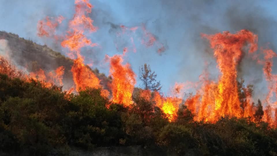 image Cost of fire damage in 2021 hit €512m