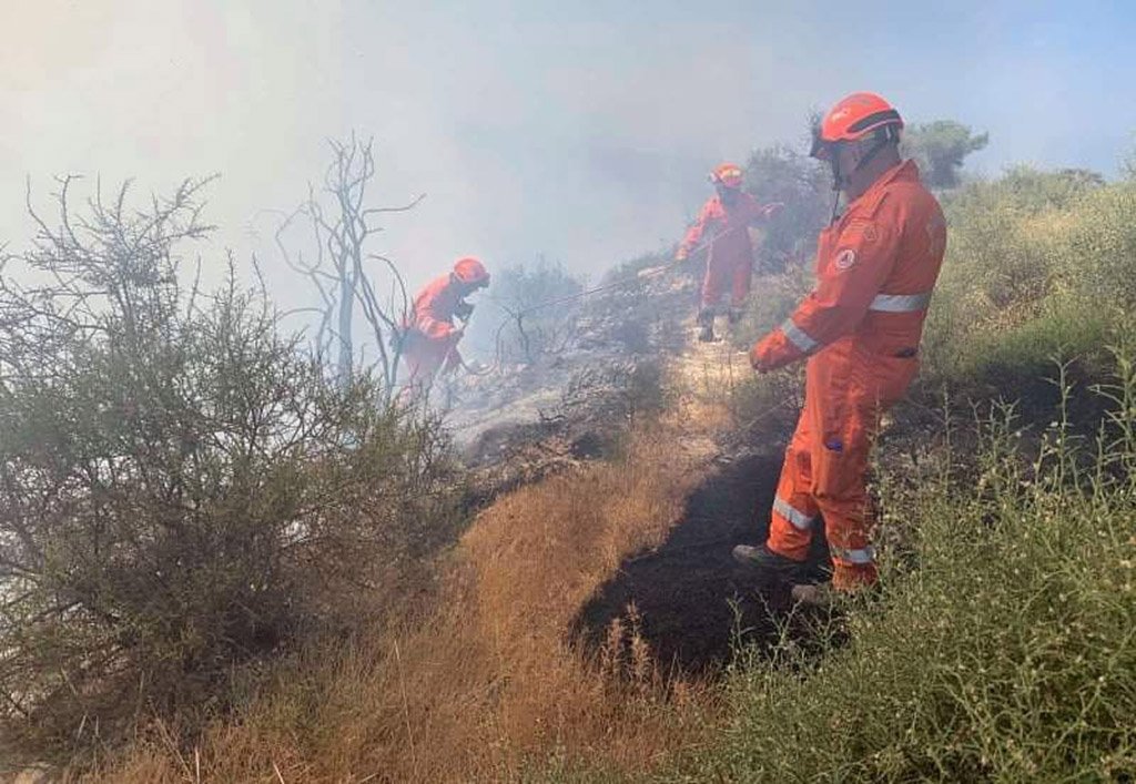 image ‘Gunpowder’ conditions for island’s vegetation, forestry department warns