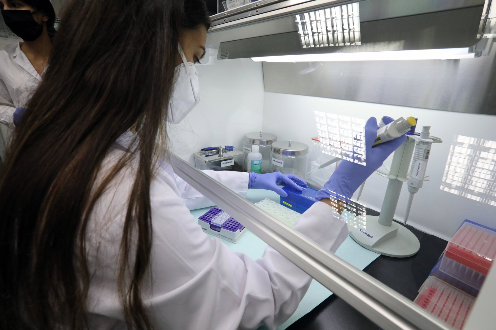 image Coronavirus: No South Africa or Brazil variants found so far