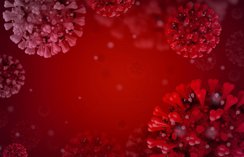 image Coronavirus: two more deaths, 167 new cases announced on Friday (Updated)