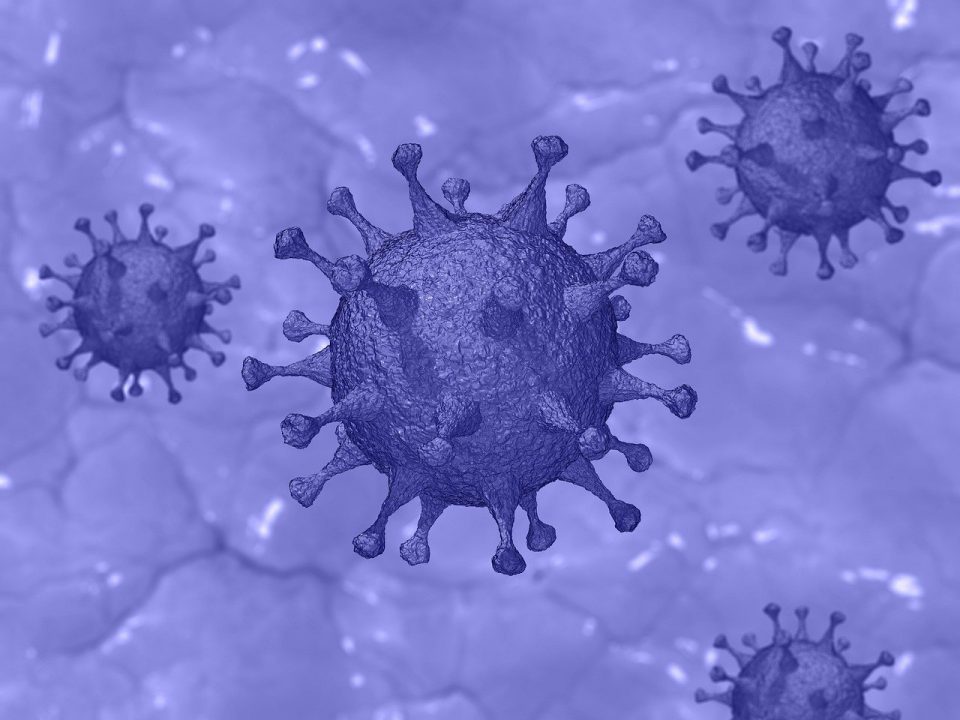 image Coronavirus: four deaths and 573 new cases announced on Wednesday (Updated)