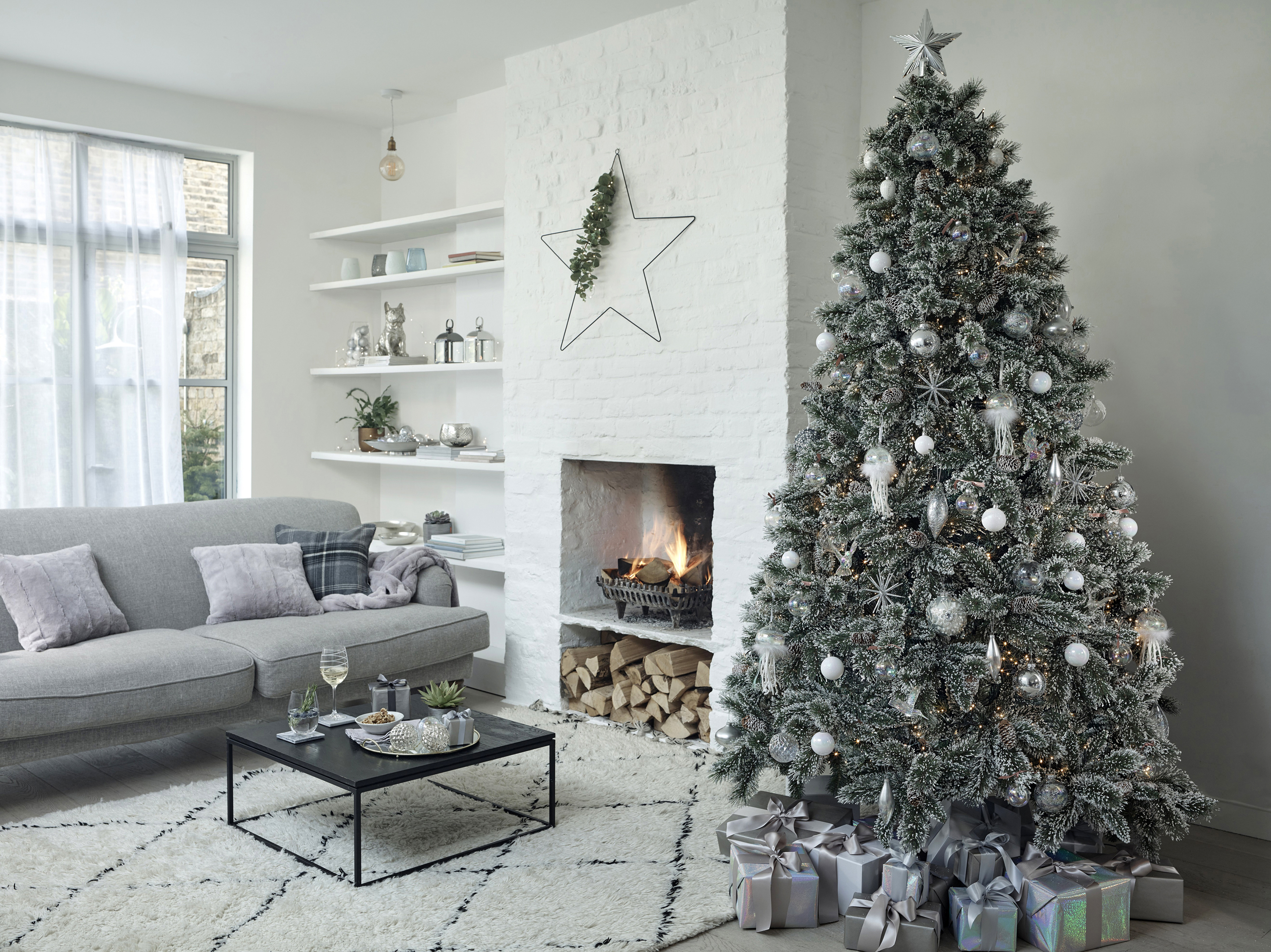 image Animal Party proposes “Adopt My Christmas Tree” programme