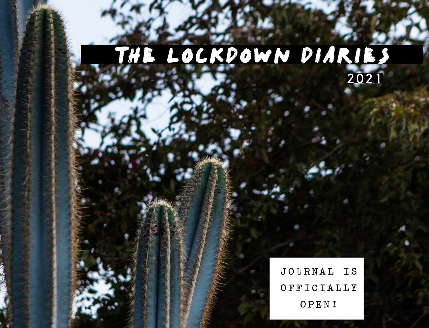 image Journaling the lockdown