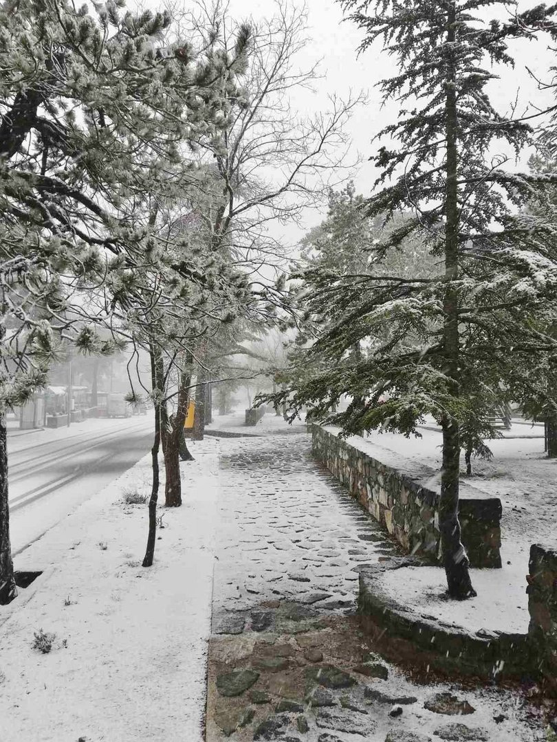 image Roads to Troodos given back to traffic (Update)