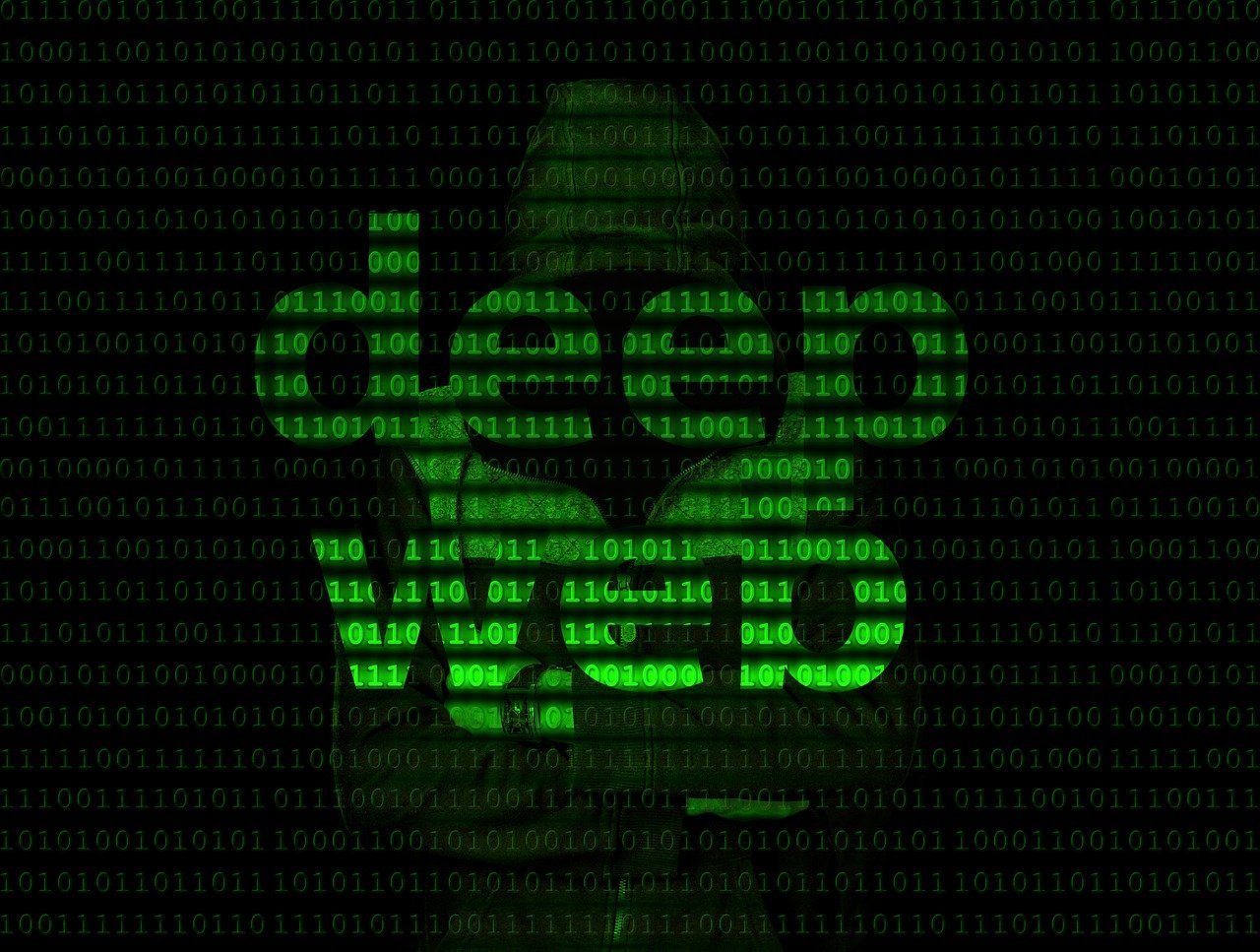image DarkNet market closed down in international police raid