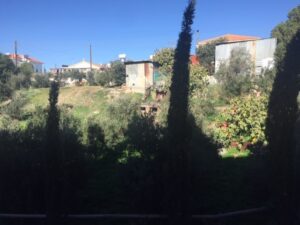Feature Kyriacos View From The Window