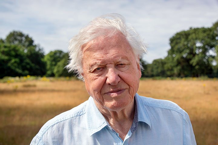 image A force of nature: BBC series A Perfect Planet