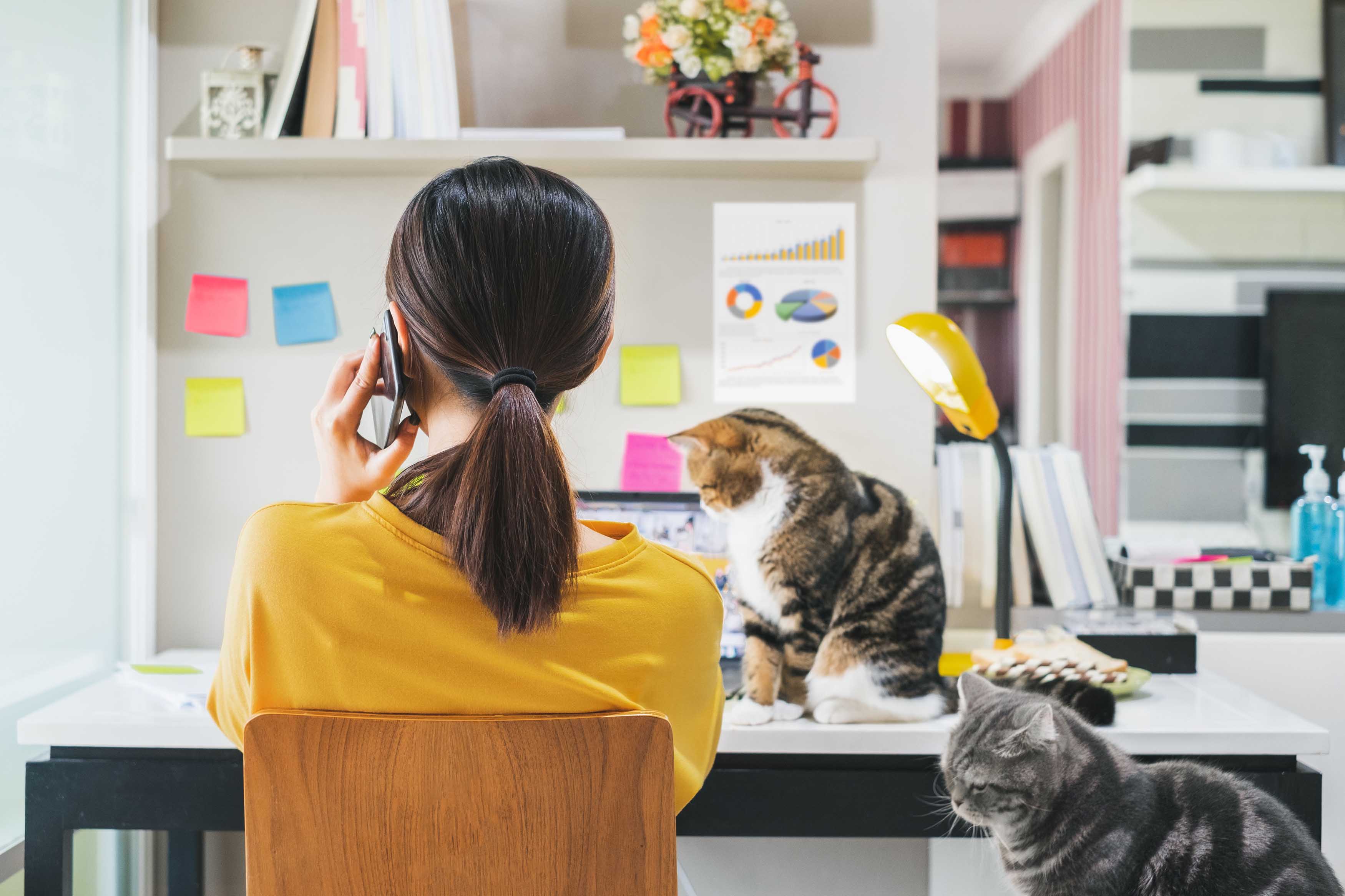image MPs call for work from home rights to be protected in law