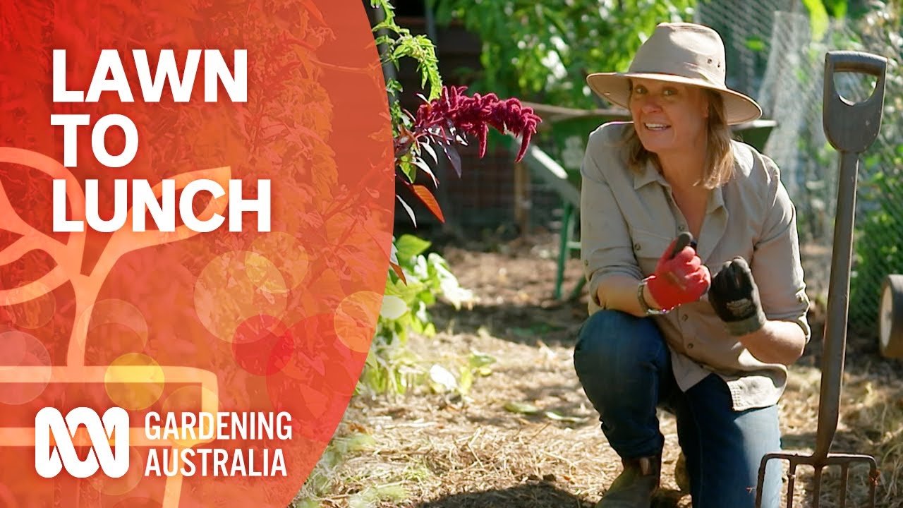image Food gardening: how to turn your lawn into lunch