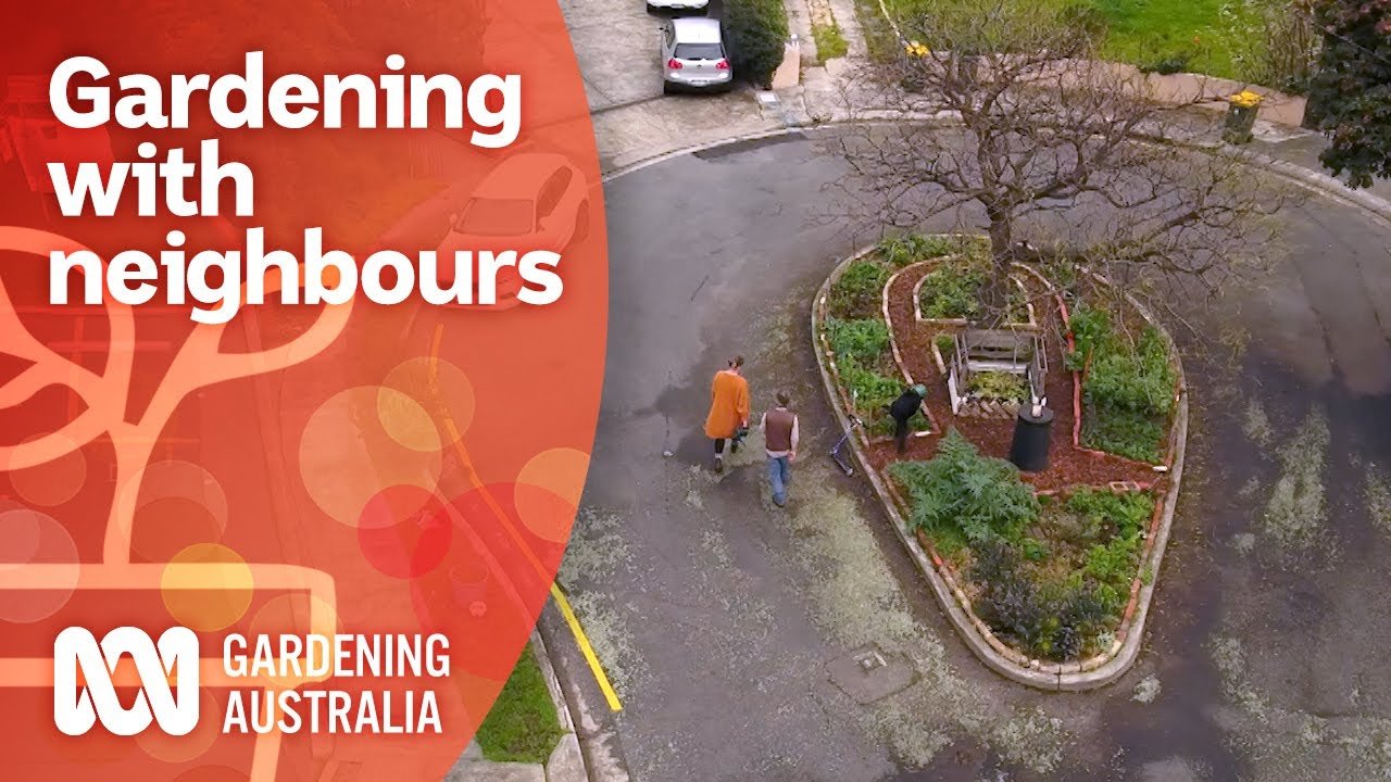 image The traffic island that became a community garden