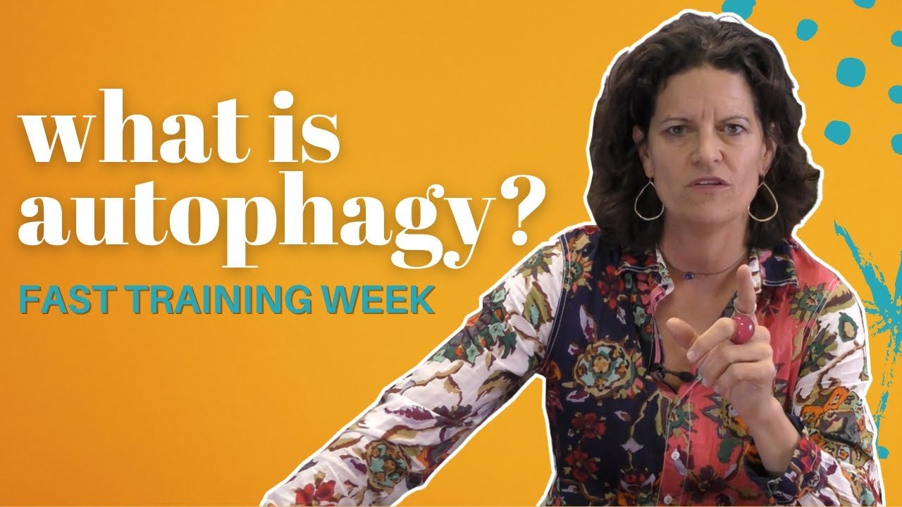image What is autophagy and how can it help your health?