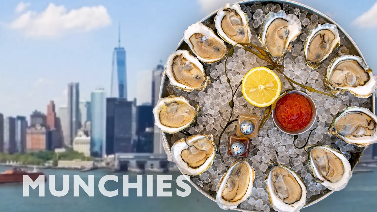image Shell preservation: fighting climate change with 1 billion oysters