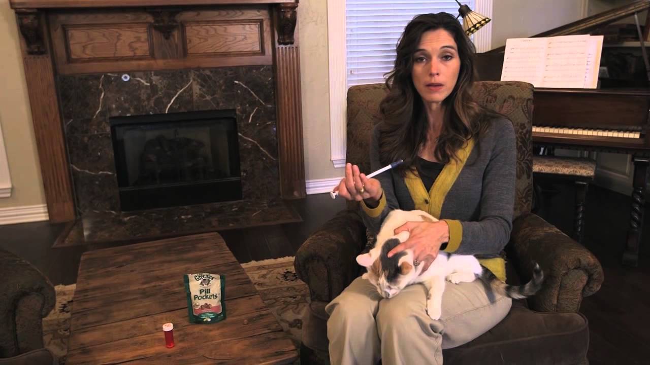 image How to give cats their meds (while avoiding scratches)
