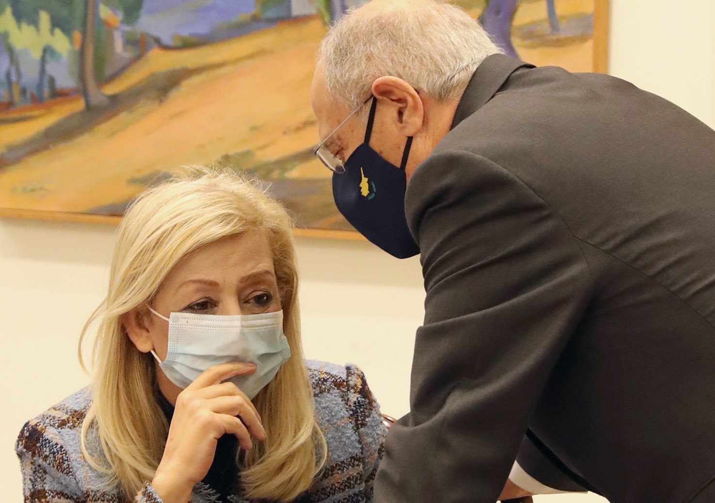 image Coronavirus: Advisory committee briefs President, decisions on Thursday